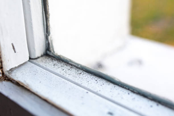 Best HVAC Mold Inspection and Cleaning  in Chattahoochee Hills, GA