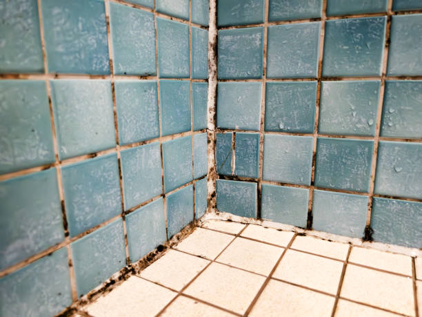 Best Air Quality Testing for Mold Spores  in Chattahoochee Hills, GA
