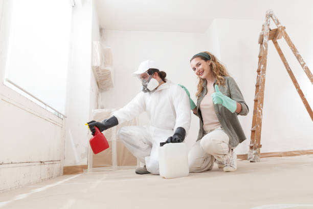 Trusted Chattahoochee Hills, GA Mold Removal Experts
